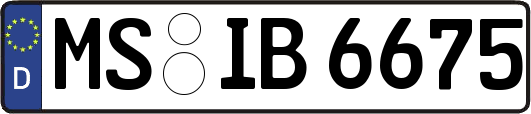 MS-IB6675