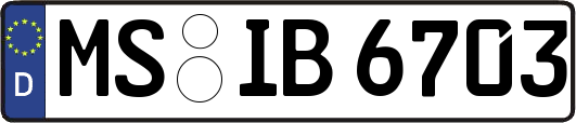 MS-IB6703