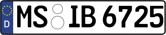MS-IB6725