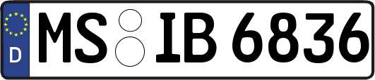MS-IB6836