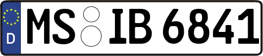 MS-IB6841