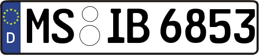 MS-IB6853
