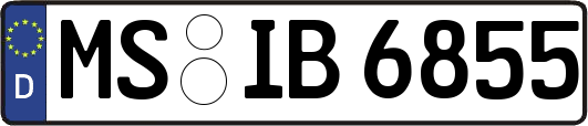 MS-IB6855