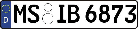 MS-IB6873