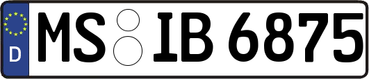 MS-IB6875