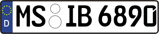 MS-IB6890
