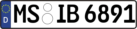 MS-IB6891