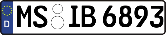 MS-IB6893