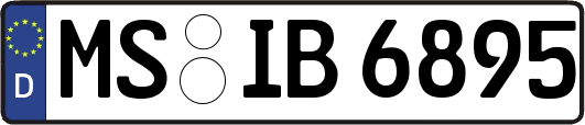 MS-IB6895