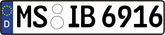 MS-IB6916