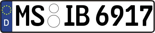 MS-IB6917