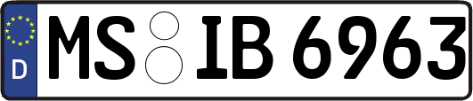 MS-IB6963