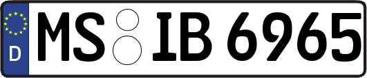 MS-IB6965
