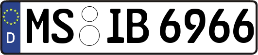 MS-IB6966