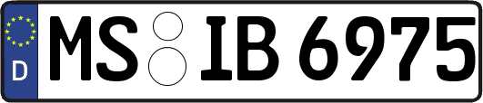 MS-IB6975