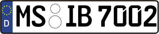 MS-IB7002