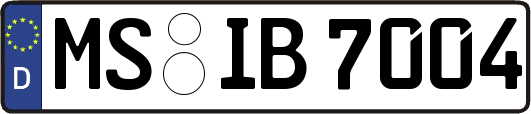 MS-IB7004