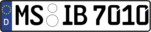 MS-IB7010