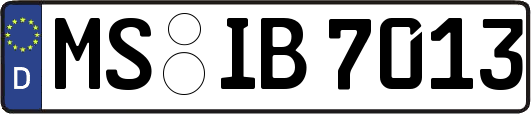 MS-IB7013