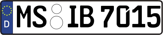 MS-IB7015