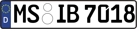 MS-IB7018