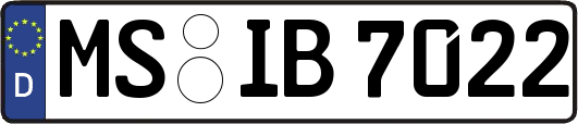 MS-IB7022