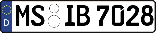 MS-IB7028