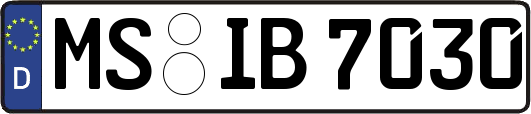 MS-IB7030