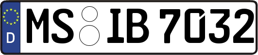 MS-IB7032