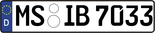 MS-IB7033