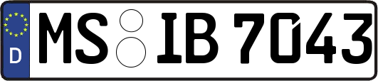 MS-IB7043