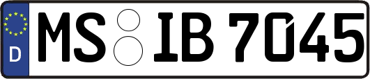 MS-IB7045