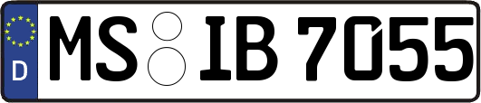 MS-IB7055