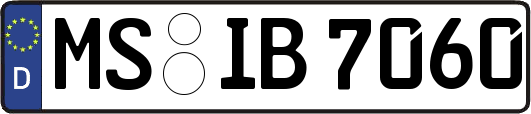 MS-IB7060