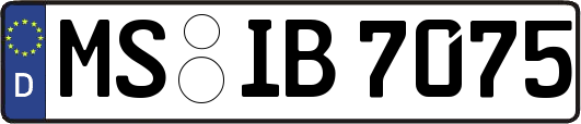 MS-IB7075