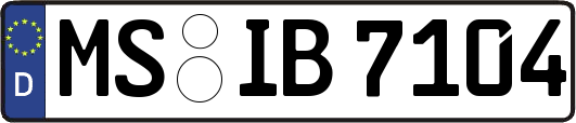 MS-IB7104