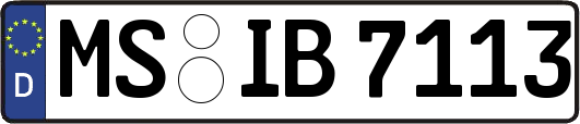 MS-IB7113