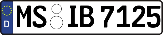 MS-IB7125