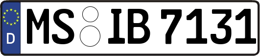 MS-IB7131