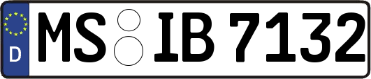 MS-IB7132