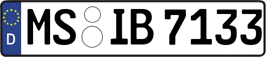 MS-IB7133
