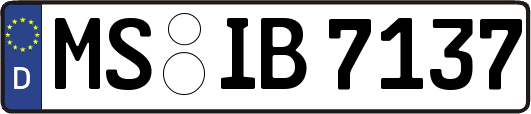 MS-IB7137