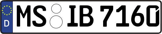 MS-IB7160