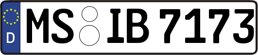 MS-IB7173