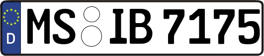MS-IB7175