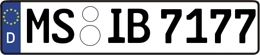 MS-IB7177