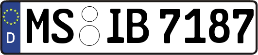 MS-IB7187