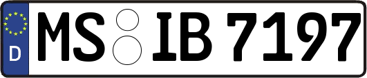 MS-IB7197