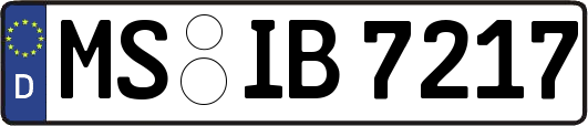 MS-IB7217