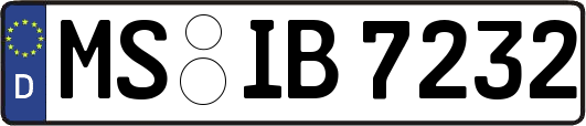 MS-IB7232